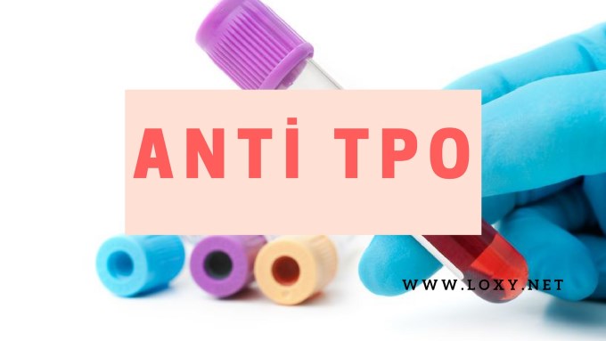 Anti TPO Nedir? Anti TPO Yüksekliği - Belirtileri ve Tedavisi