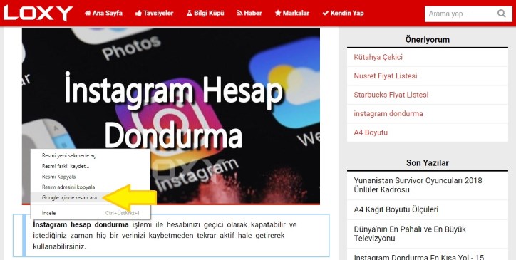 webde bulunan bir resmi görsel arama ile aramak