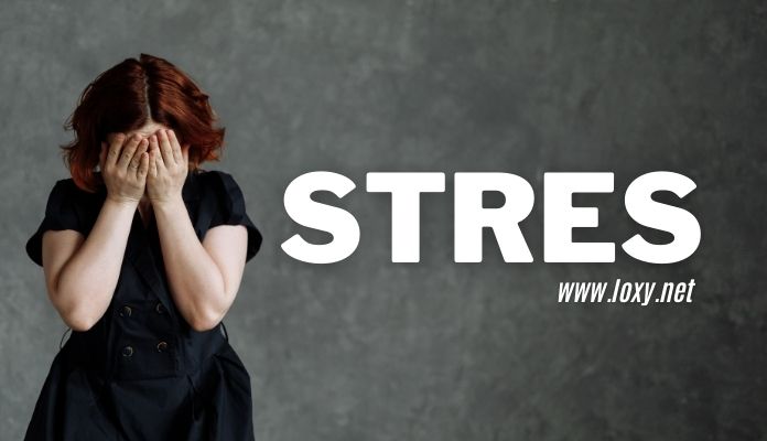 Stres Nedir? Stresin Nedenleri ve Stresle Baş Etmenin Yolları Neler?